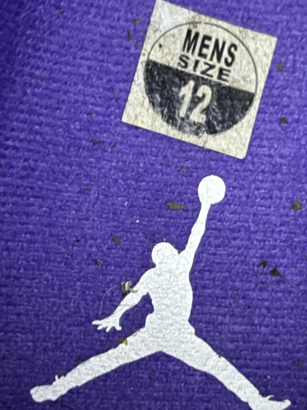 Jordan 3 Retro Dark Iris 2022 Size 12